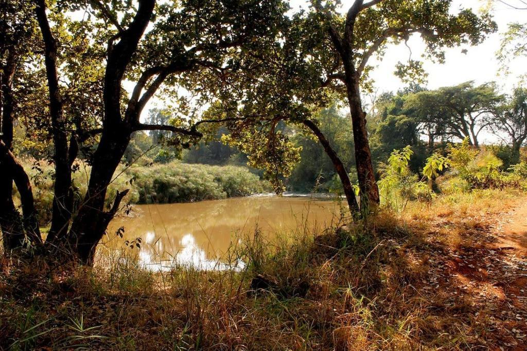 Boschoek Farm Villa Tzaneen Eksteriør billede