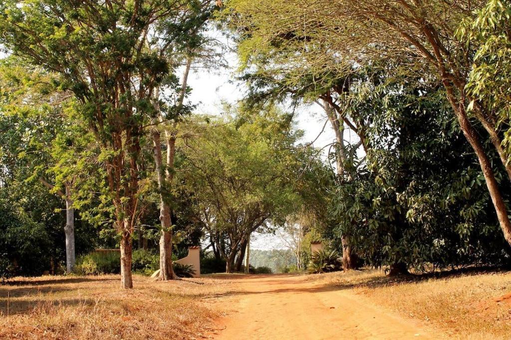 Boschoek Farm Villa Tzaneen Eksteriør billede