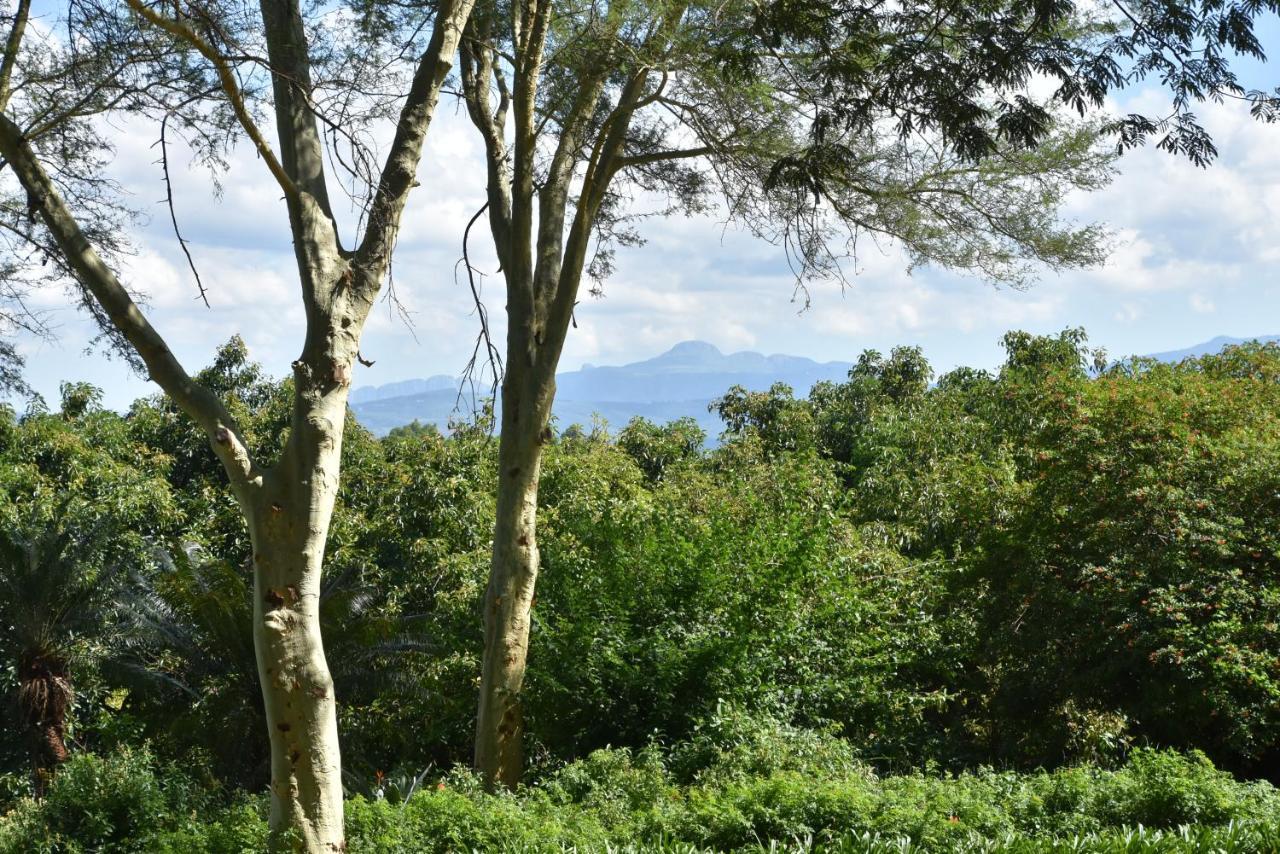 Boschoek Farm Villa Tzaneen Eksteriør billede